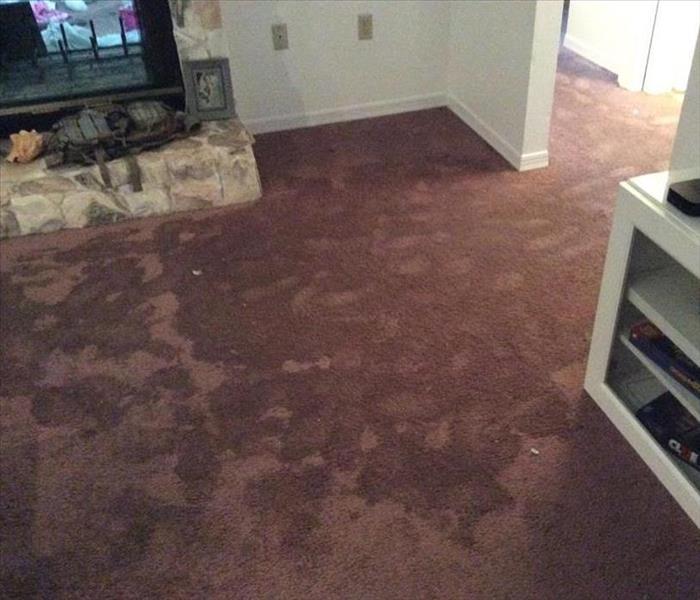 carpeted room with visible water marks